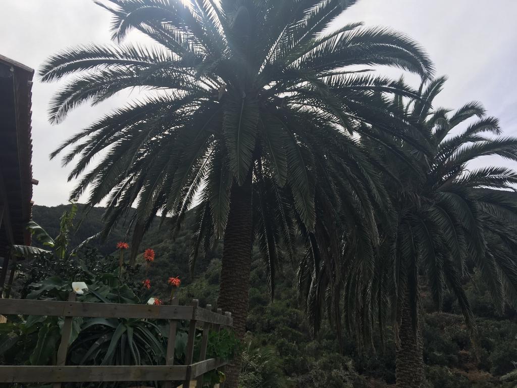 Casa Rural El Rincon De Antonia Agulo Bagian luar foto
