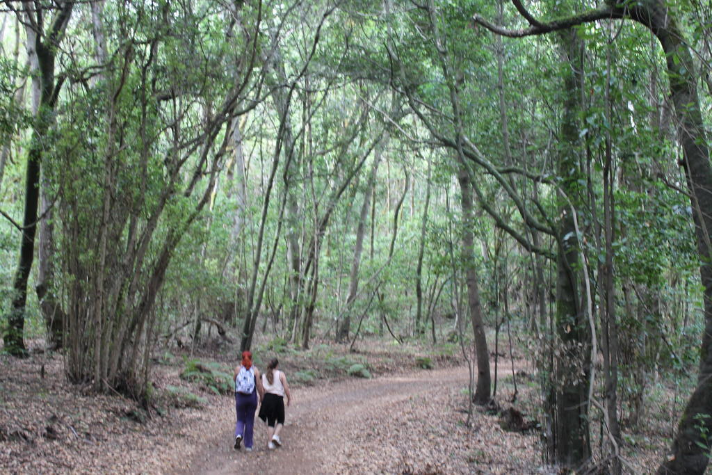 Casa Rural El Rincon De Antonia Agulo Bagian luar foto