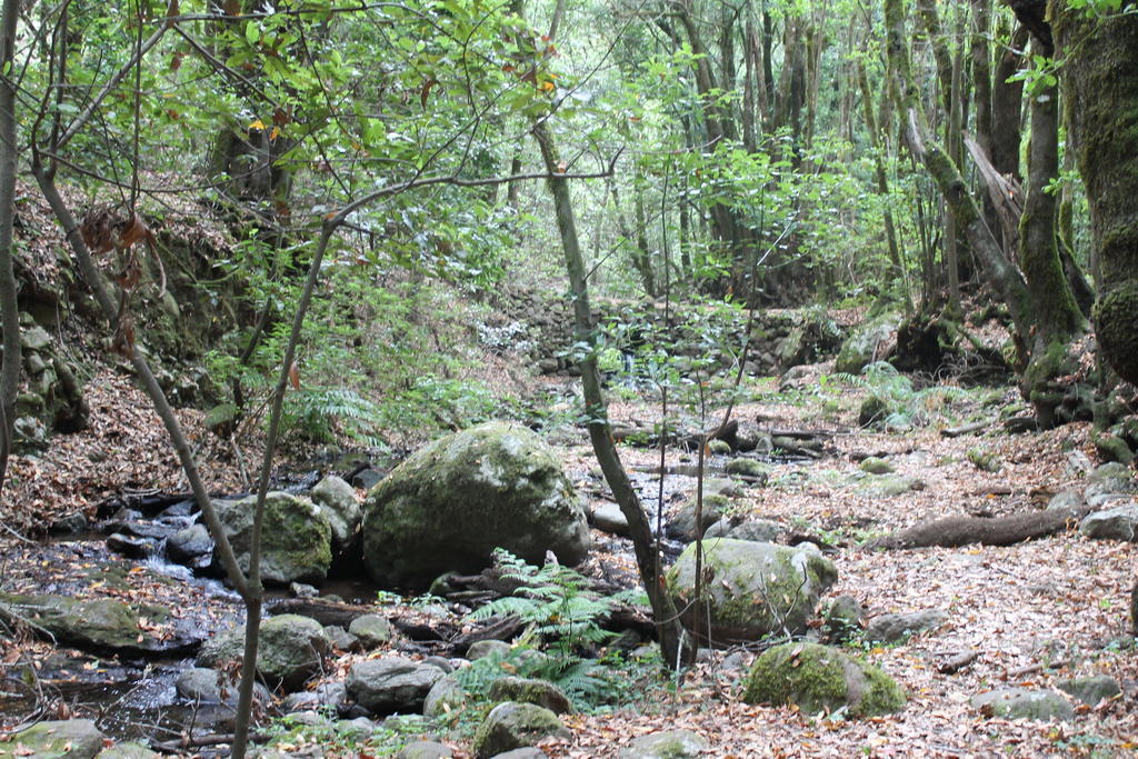 Casa Rural El Rincon De Antonia Agulo Bagian luar foto