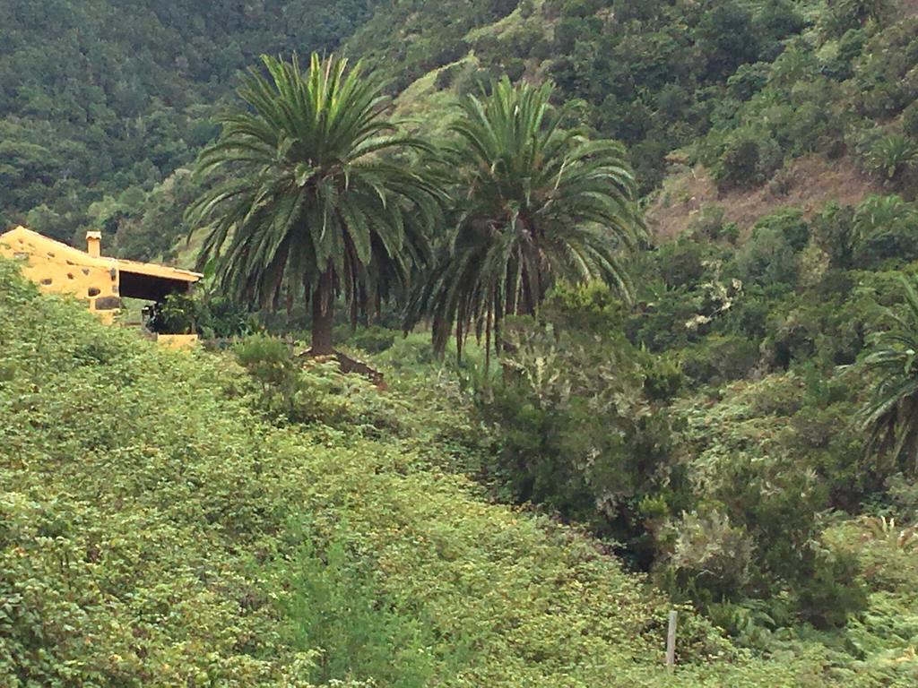 Casa Rural El Rincon De Antonia Agulo Bagian luar foto