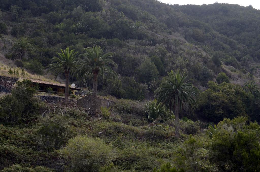 Casa Rural El Rincon De Antonia Agulo Bagian luar foto